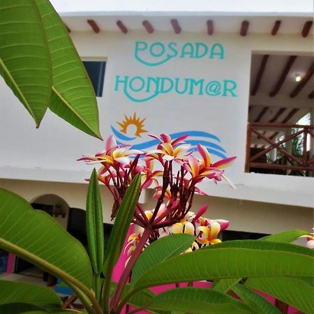 Posada Hondumar Holbox Hotell Eksteriør bilde