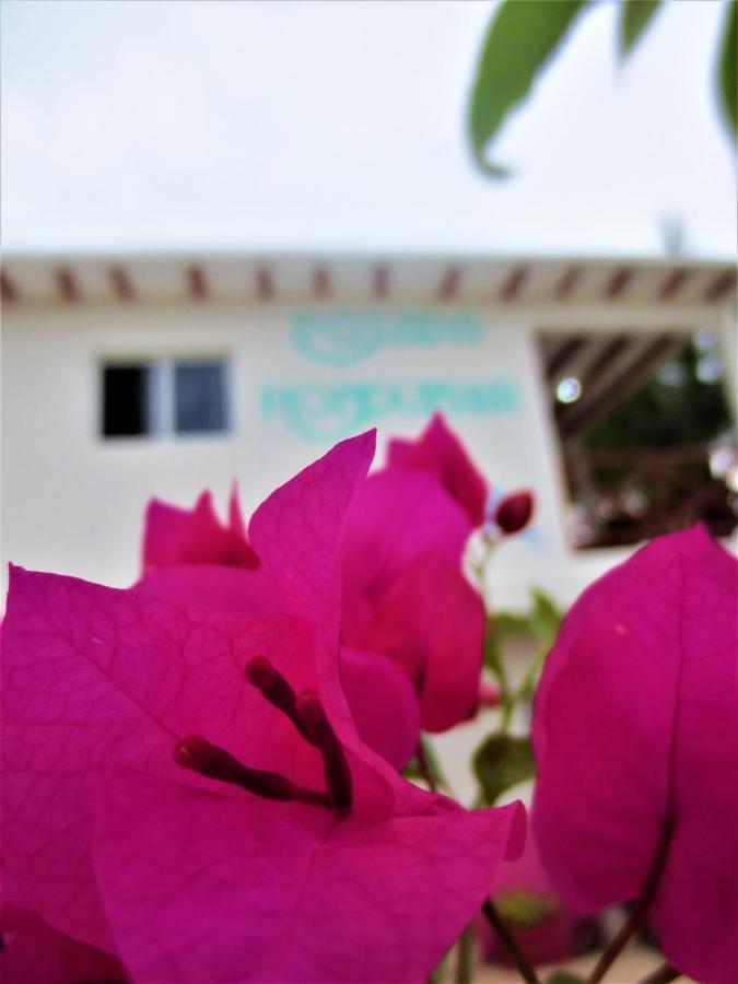 Posada Hondumar Holbox Hotell Eksteriør bilde